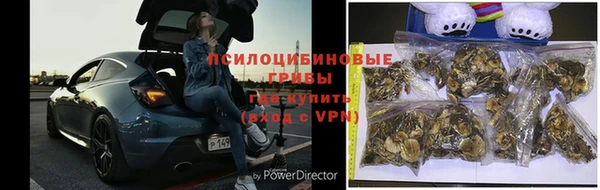 ГАЛЛЮЦИНОГЕННЫЕ ГРИБЫ Балабаново