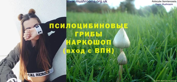 mix Арсеньев