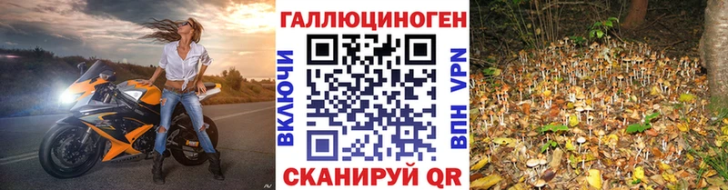 Галлюциногенные грибы Psilocybe  Радужный 